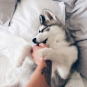 Meet your Posher, Clare